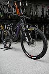 Santa Cruz Bronson