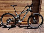 Pivot Trail Cat
