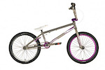 2009 Wethepeople Recon i am ordering for the 2009 biking season. Leave comments about what you think of the bike.