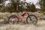 Trek Roscoe 8 Gen 4 Sz L Brand New FREE Shipping!!