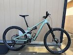 Custom Specialized Stumpjumper 15 Evo Expert