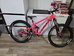 Talon pivot switchblade team xx axs transmission