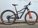 Ibis Ripley V4 Medium All Carbon Custom Build