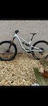 Saracen ariel Aluminum medium