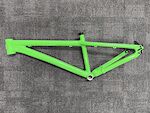 Santa Cruz Jackal