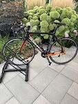 Pinarello Dogma 65.1
