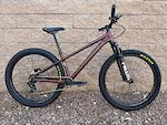 Specialized P4 custom build NEW