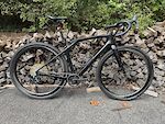 Specialized 56 Diverge STR Expert carbon
