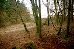 New mini downhill.

Cant decide which way to go. 

• Straight on with some rollers and low stuff across the flat bit.

• Go to the right through the trees a bit more then turn left to go over the flat bit with rollers etc.

Ether way its hopefully going to end in a descent double that i can learn new stuff on, then join the current line, possibly with a hip.