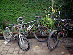 My Dirty Bike family....Ghost SE Mid Season, ONE Pro XXL race BMX, NS Bitch Dirtbike