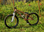 Ns Capital '09 frame, RS Pike 454Dual Air suspension fork, Ns District high bar, Eclat complex seat, Fly cranks with Bts 23T sprocket, Proper rear and Prodigy front hubs, Fit DLD stem and Fit plastic pedals, Primo grips, Sun S-type front and WTB dual duty rear rims and Duro buffalo black hawk tires :) I hope you like it! :D