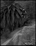 Stylish No foot Indian Can. This photo won the P.R.O. and S.D.M.B.A. photo contest for dirt jump category, Dec. 2011