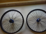 new wheels-profiles on cinema 777s laced with primo spokes