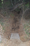 steep trail to ladder bridge
