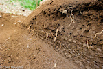 Tire tracks in the dirt at the Pietermaritzburg UCI World Cup