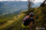 Have you ever seen such singletrack?