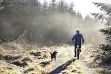 Heavy frost clears as the sun gets to work along the trails in Ireland.

My faithful dog George loves nothing better than to get out in the woods, we rescued this fella directly off the street.