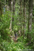 Riding trails in Sandy Ridge