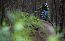 Must Watch: Silvia - Dylan Sherrard Spring Trail Party