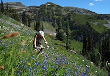 Revelstoke's Keystone Standard Alpine Dreaming (Part 1)