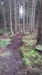 redigging trails where the old "dual run" used to be