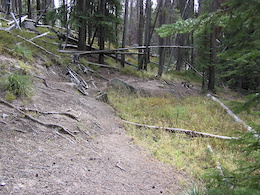Around a wet area at upper end of trail.