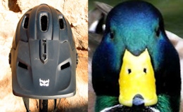 helmet  vs  duck