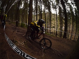 Forest of Dean Mini DH 3