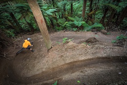 Trailforks Trail of the Month: Eagle vs Shark