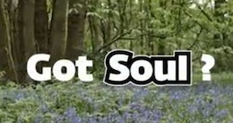 Video: Do Hardtails Have Soul?