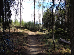 Logging blocking trail