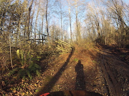 Trail Damage on Da Plow Nov 19, 2015