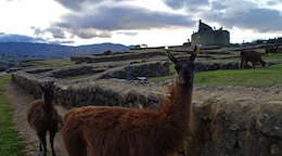 Ingapirca Incan Ruins and the Camino Del Rey trail
