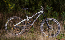 Mondraker Summum Dh
Enduro tuning with Pike, custom Fox float X2 165mm travel and specific routing for Reveb.
13.5 kg like this.