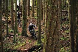 Forest of Progression: Old Growth Culture Meets New Age Riding - Video