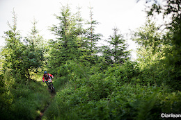 Afan Valley Riders Voice Concerns Over Latest Round of Tree Felling