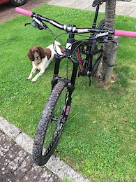 Pinkbike Buy Sell >> Buy Sell Photo Album Pinkbike Pinkbike Buy Sell >> Buy Sell Photo Album Pinkbike