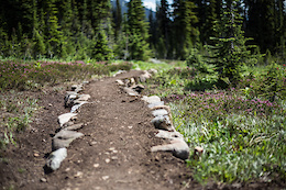 Building sustainable all weather trail in the alpine.