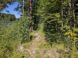 Part of the trail
