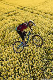 Amir Kabbani is flying over a canola field close to Boppard, Germany