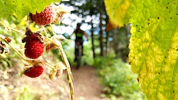 Calgary Cycle and Devinci's Trail Fundraiser