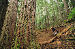 Chris Johnston railing a ceder dusted corner which sits up next to some very old trees.