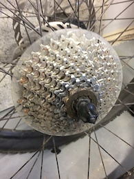 WTB-Speed-Disc-19-559--537-ERD-Wheelset-26 Photo Album