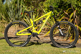 The Zerode Taniwha Comes to the US