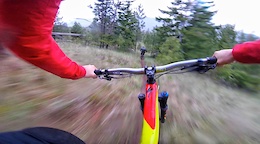 Dylan Sherrard's Dark Roast Diary: Tracing Trails