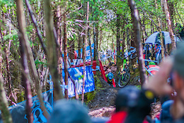 The story of most riders in the woods!