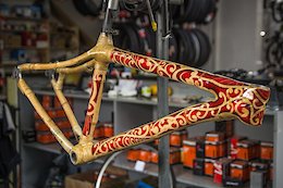 Pinkbike Poll: Do You Care About Sustainability?
