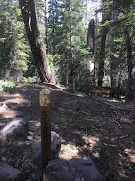 Trail marker at the end of the trail. 7/2016.