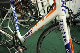 giant defy rabobank