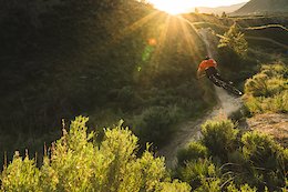 Dylan Sherrard's Dark Roast Diary - This Season is Buzzing